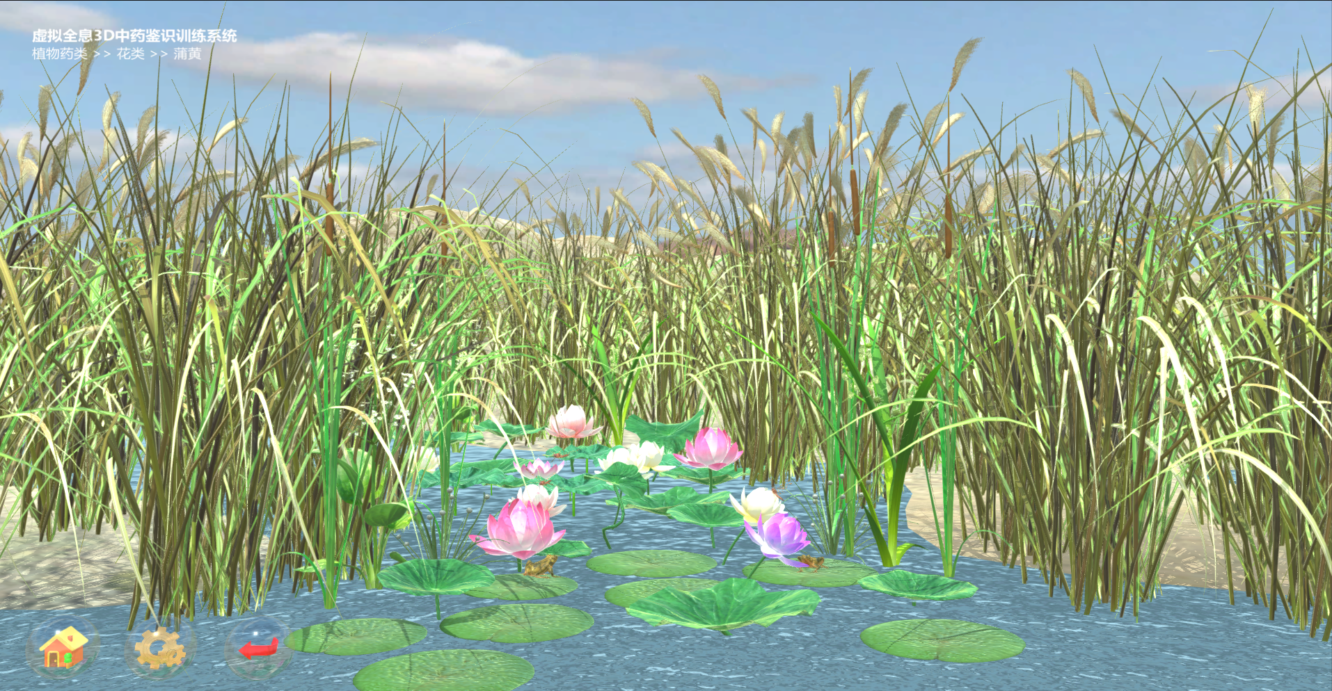 虛擬全息3D中藥鑒識訓練系統(tǒng)